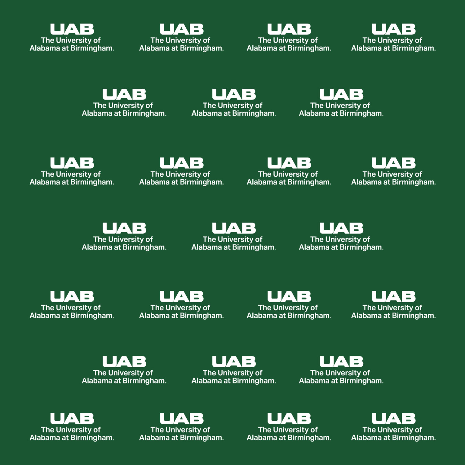 Graphic showing Core University Logo usage