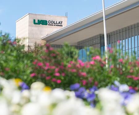 Collat building in the background with multicolored spring flowers in the foreground.