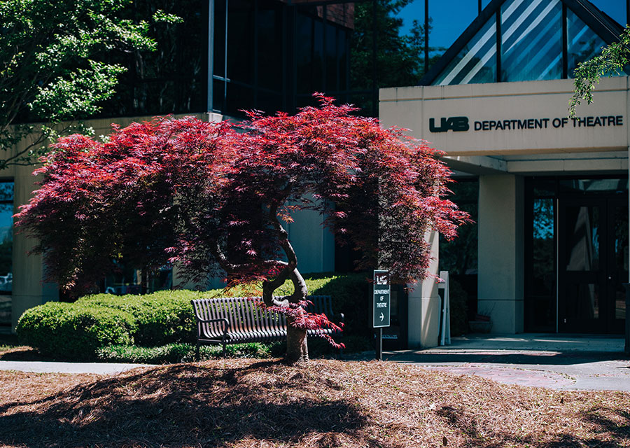 THe main entrance to the Department of Theatre featuring a red Japanese Maple.