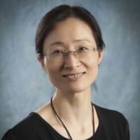 Jing Li