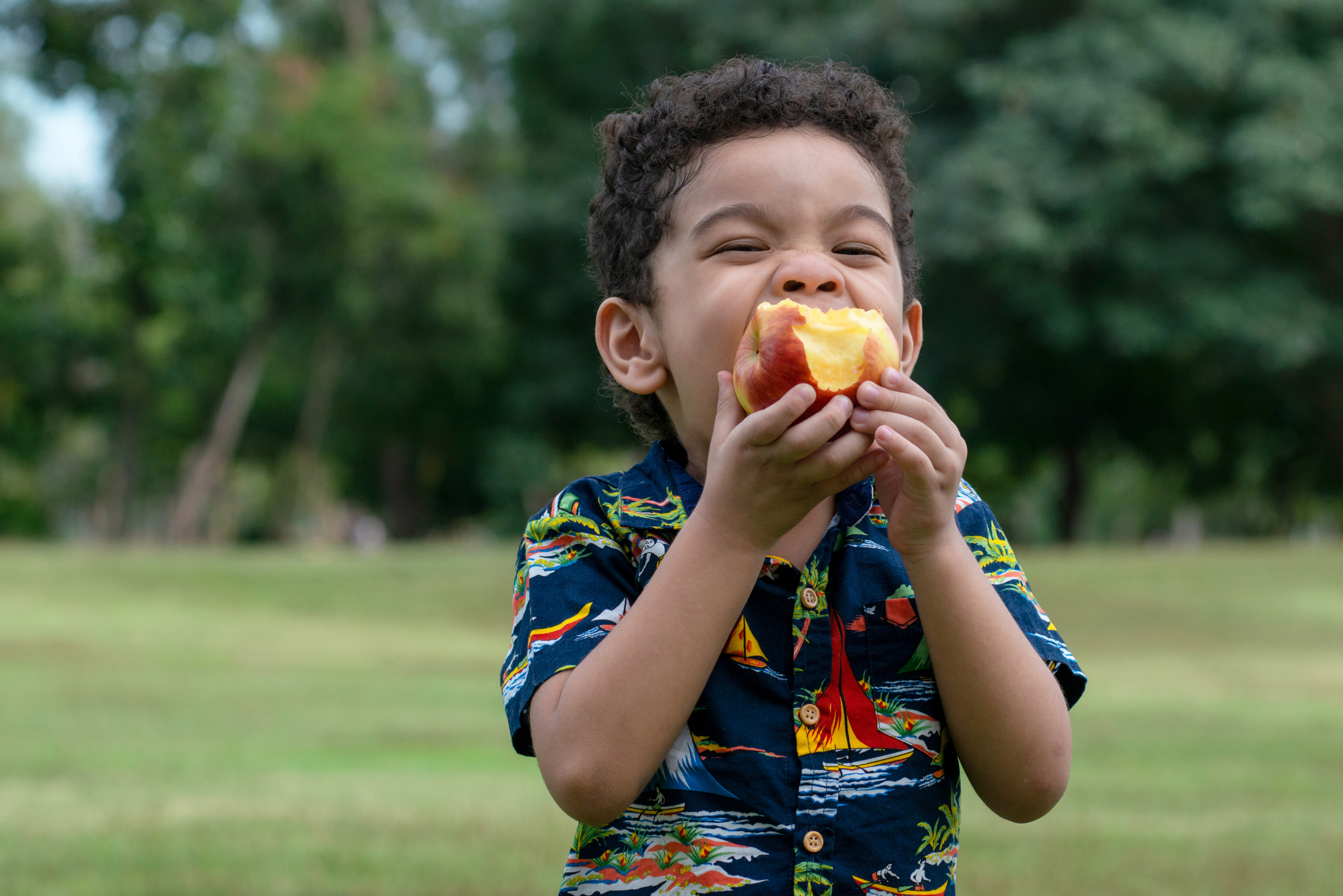 AdobeStock 411894190 Adobe Stock Image of child eating apple By complearn 2001
