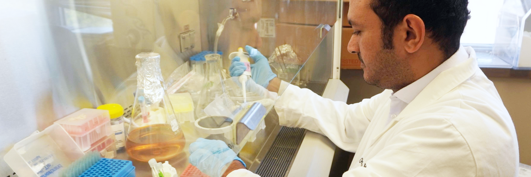 training the next generation of dental clinicians and scientists and to build the highly skilled research workforce in academia - DART Trainees working in lab