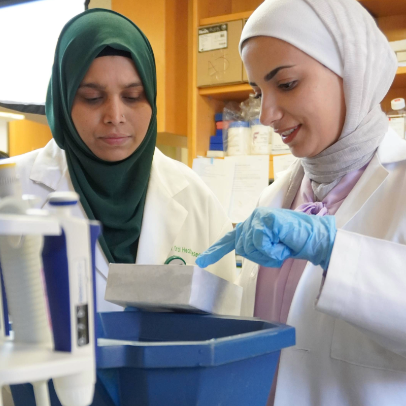 IOHR Labs