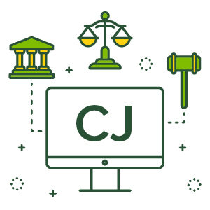 Introduction to Criminal Justice System