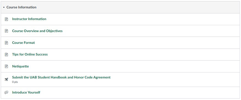 Screenshot of information module. 