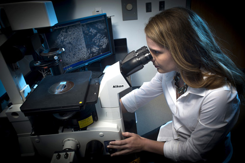 A student conducting research to sustain livers in a bioreactor for future drug testing. 