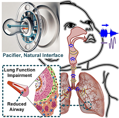 Pacifier Fig