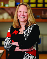 Fran Lund, Ph.D.