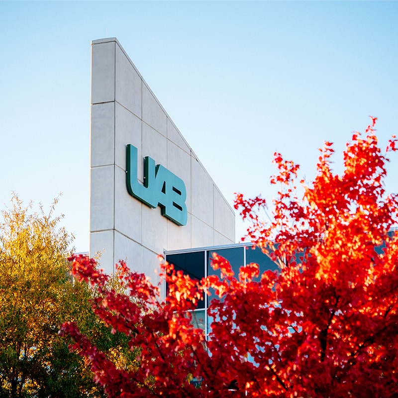UAB Travel Committees