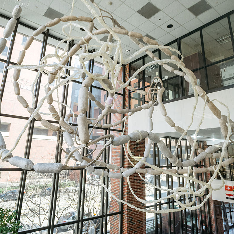 Employment Sponsorship Options at UAB