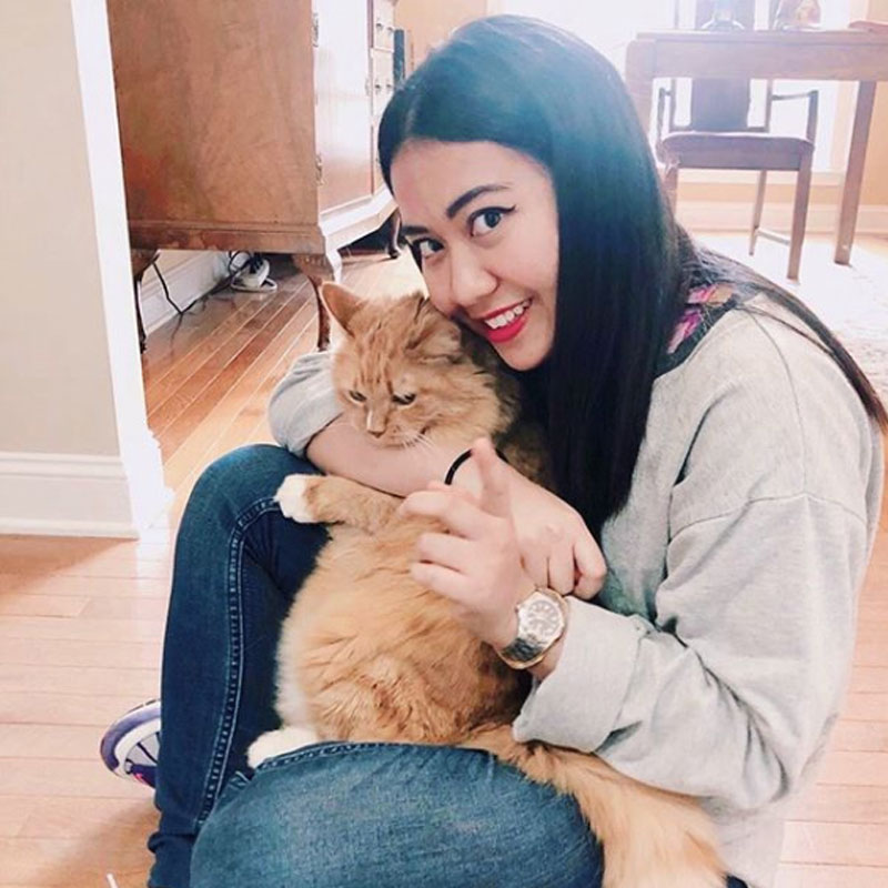 Cat