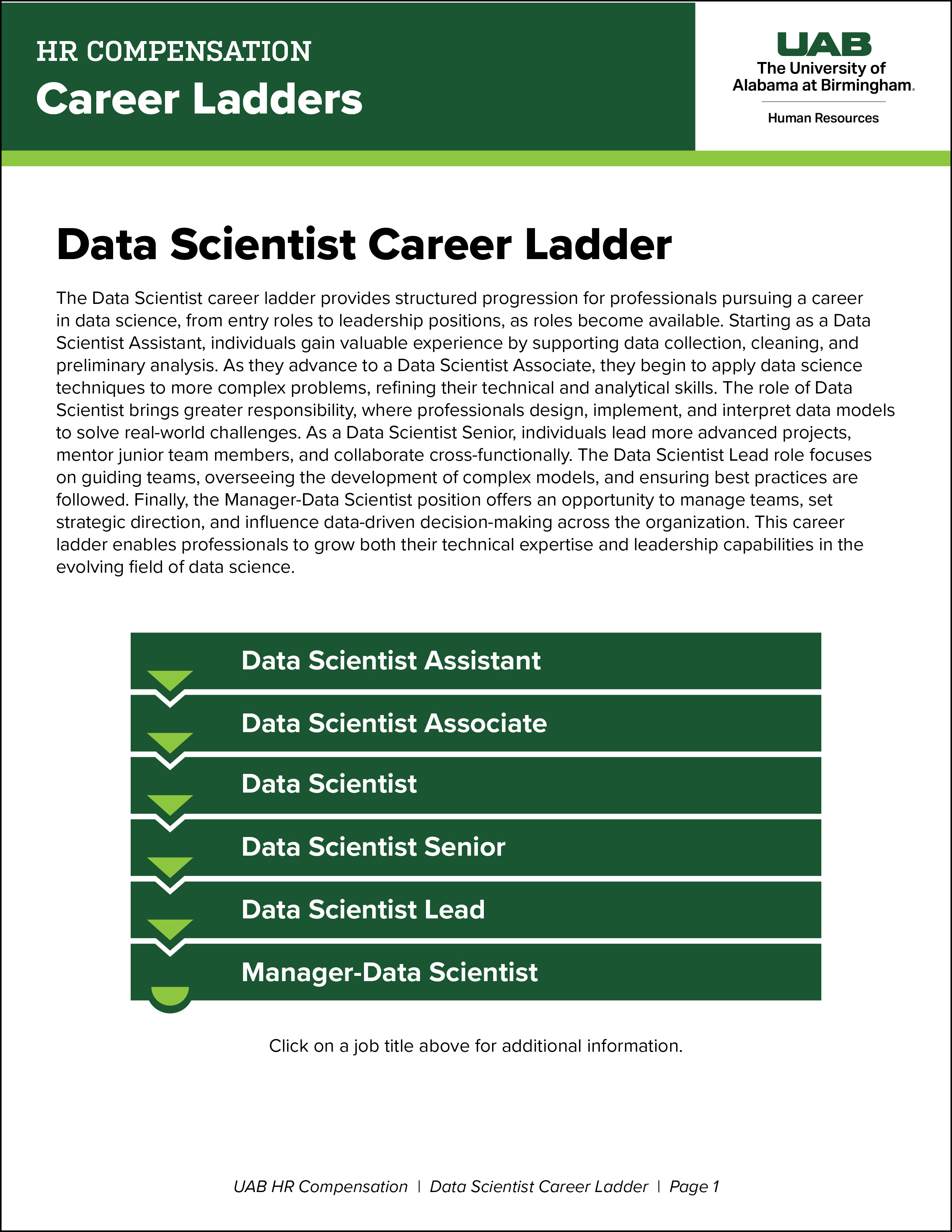 Data Scientist Career Ladder