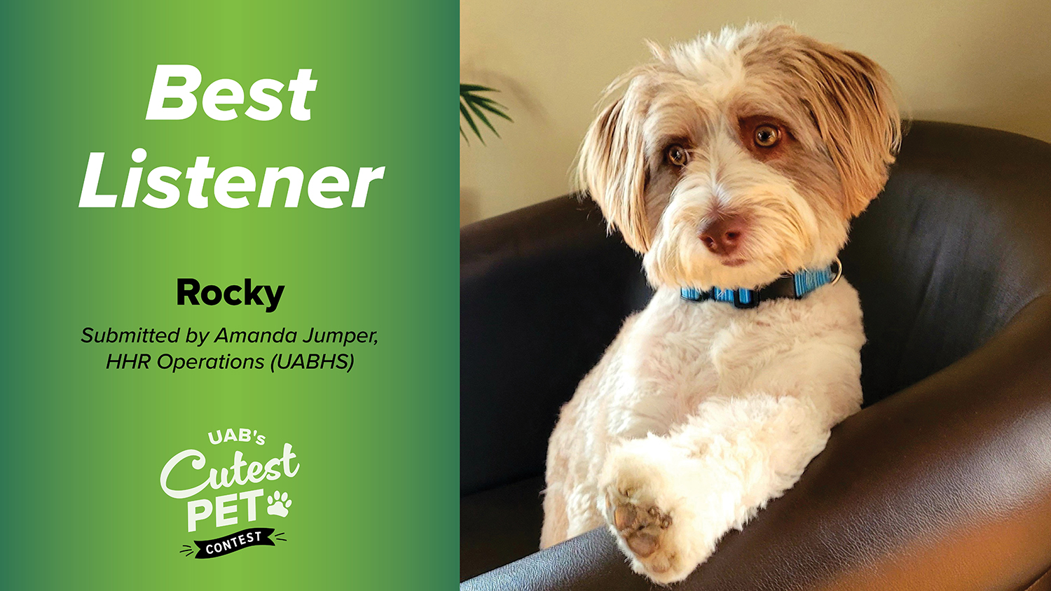 Best Listener