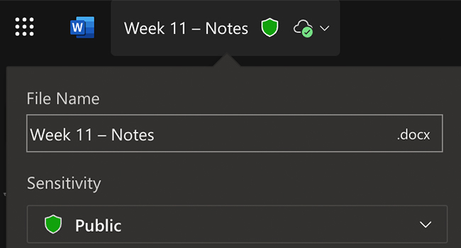 New data labels in Microsoft encourage safer AI usage