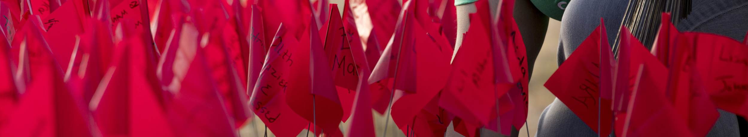 1917 remembrance flags