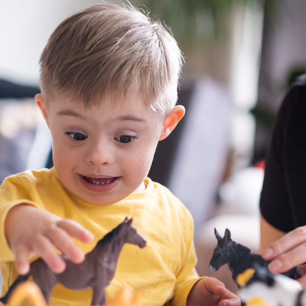 boy playing with horse toy