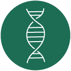 Rhabdoid Tumor Predisposition syndrome