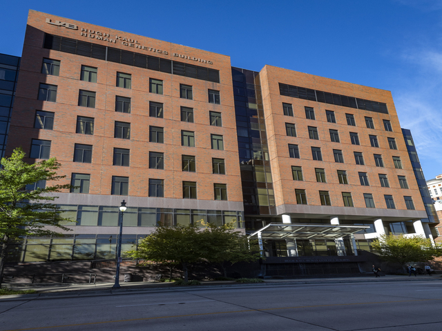 RS24456 kaul 2 640x480