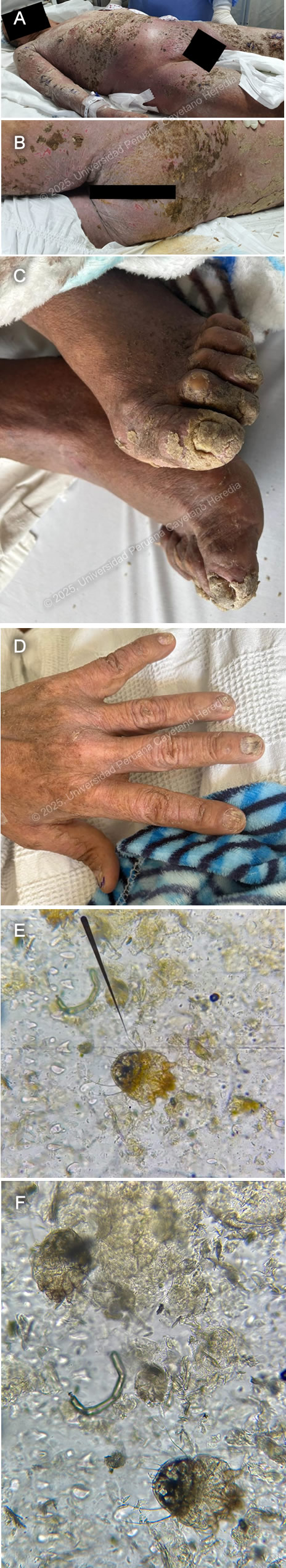 Image for Case 2025-8