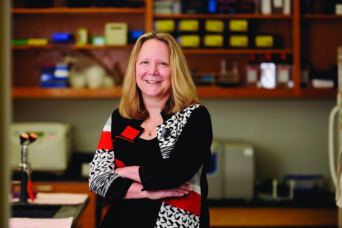 Frances Lund, Ph.D.