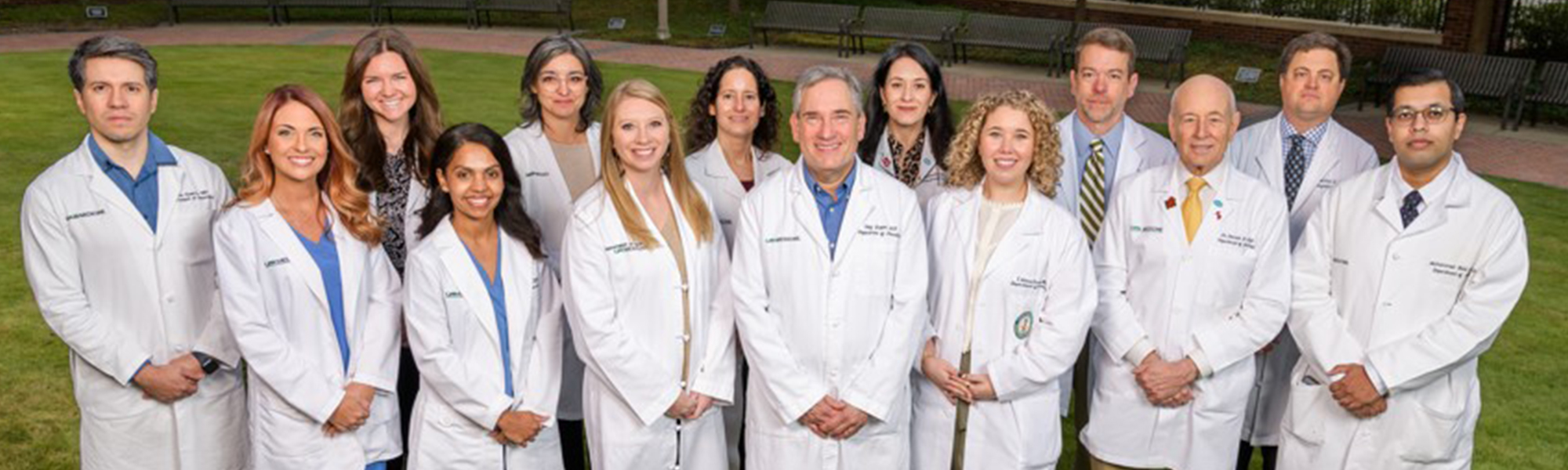 cerebrovascular image