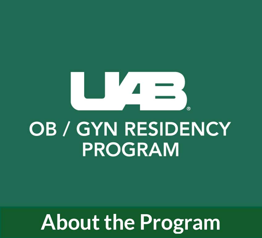 About the Program