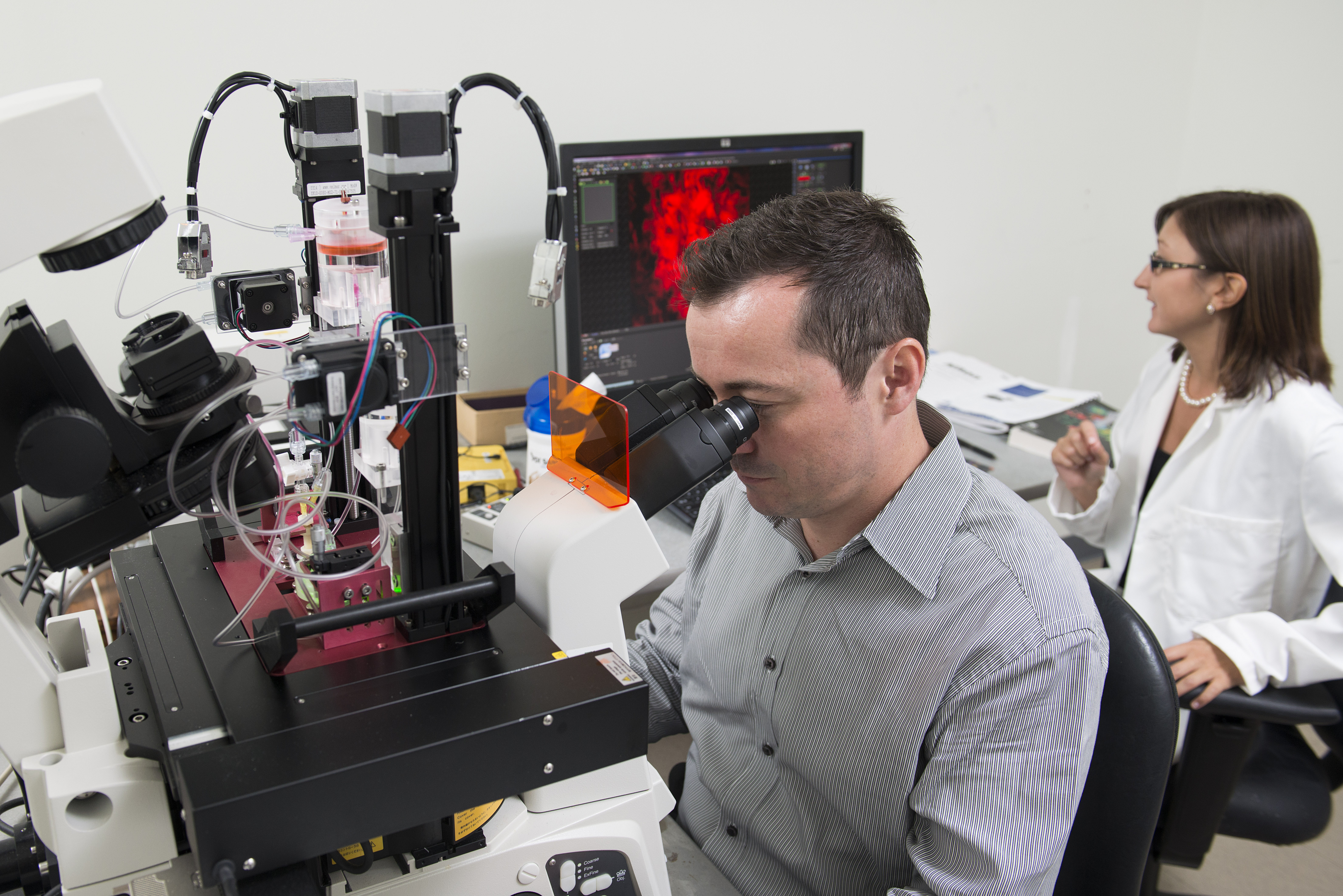 ocular biomechanics