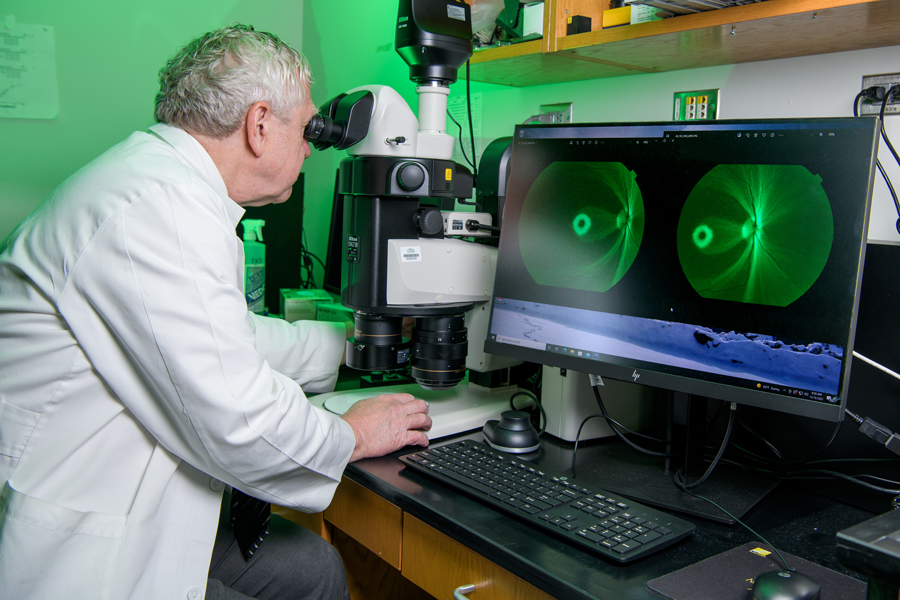 Dr. Paul Gamlin, professor in the Department of Ophthalmology and Visual Sciences, doing research.