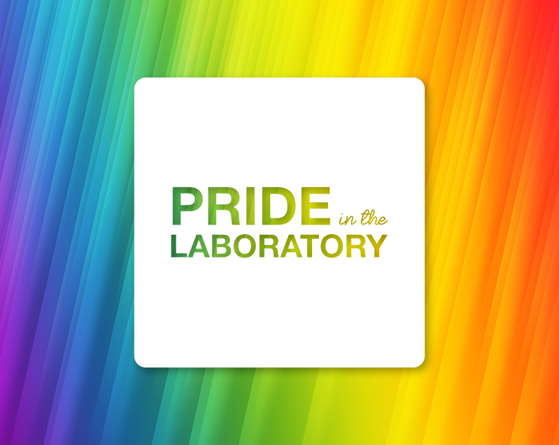 25 220469 ls dei pride web art cv