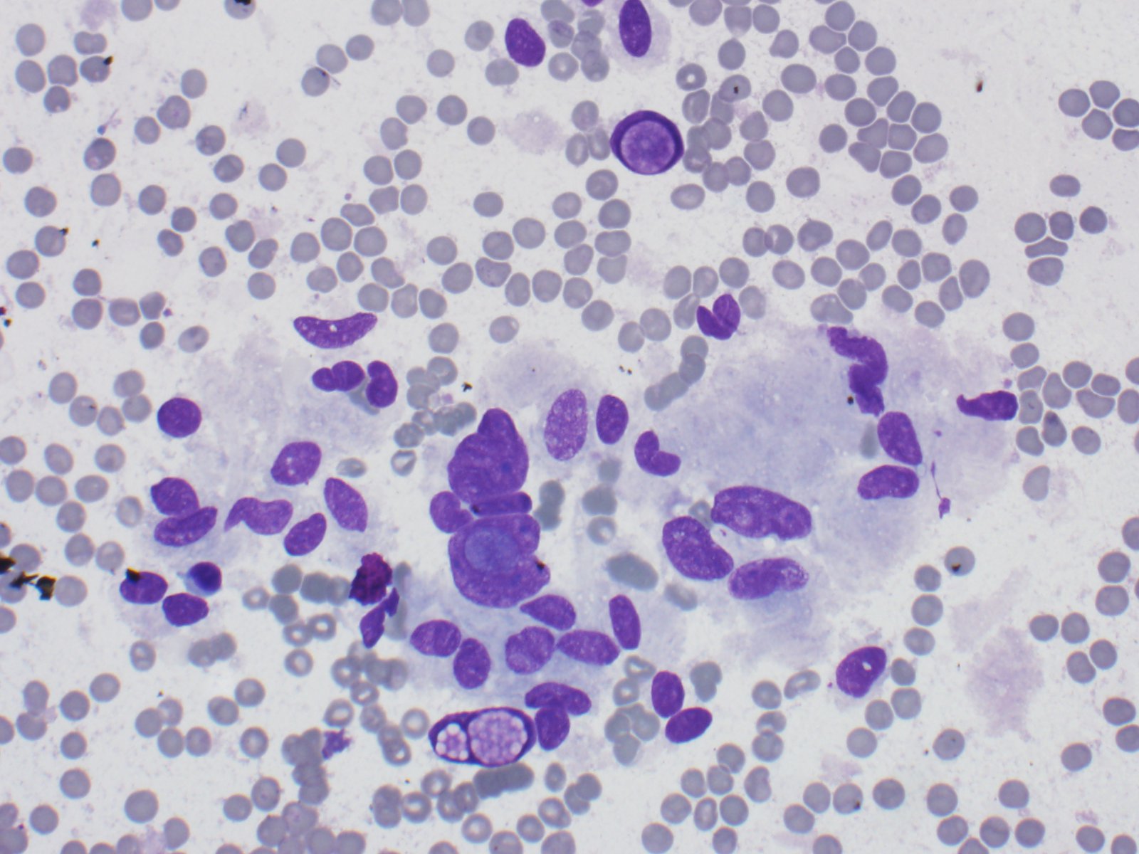 4 Smear september cotw