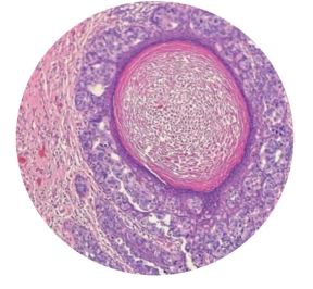The Pathologist Art Piece 2