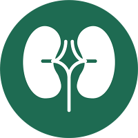 Pediatric Nephrology Research