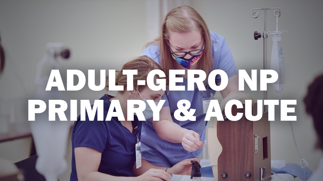 Adult-Gero Nurse Practitioner