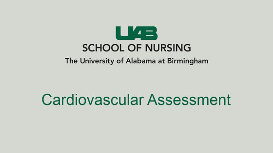 Cardiovascular Assessment