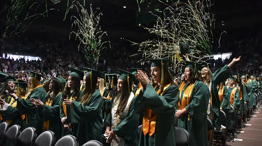 Shaping nursing education