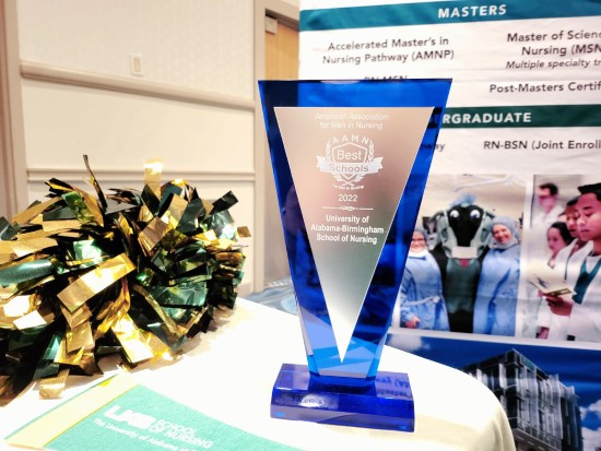 Photo of AAMN Award