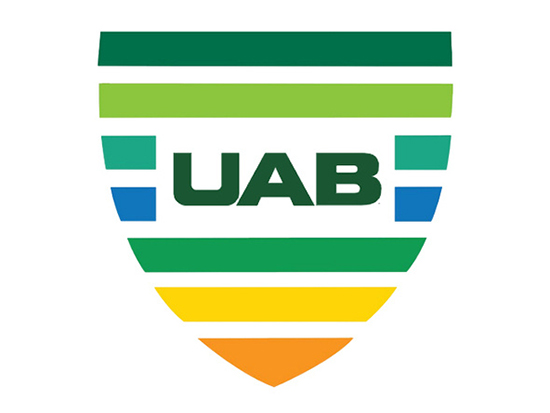 New UAB VIP Award logo
