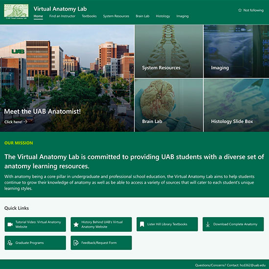 rep anatomy site image 550px