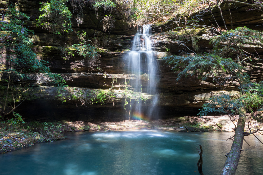 rep bankhead national forest 1000px