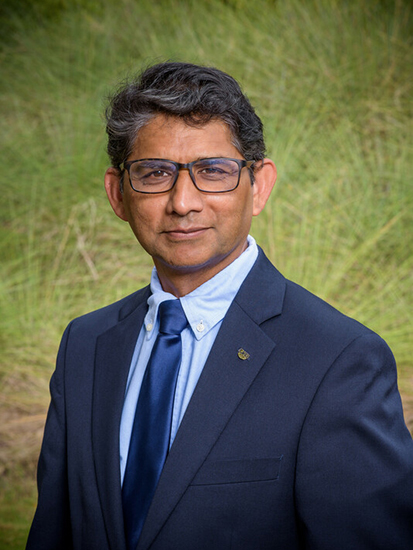 rep gis haque 413px