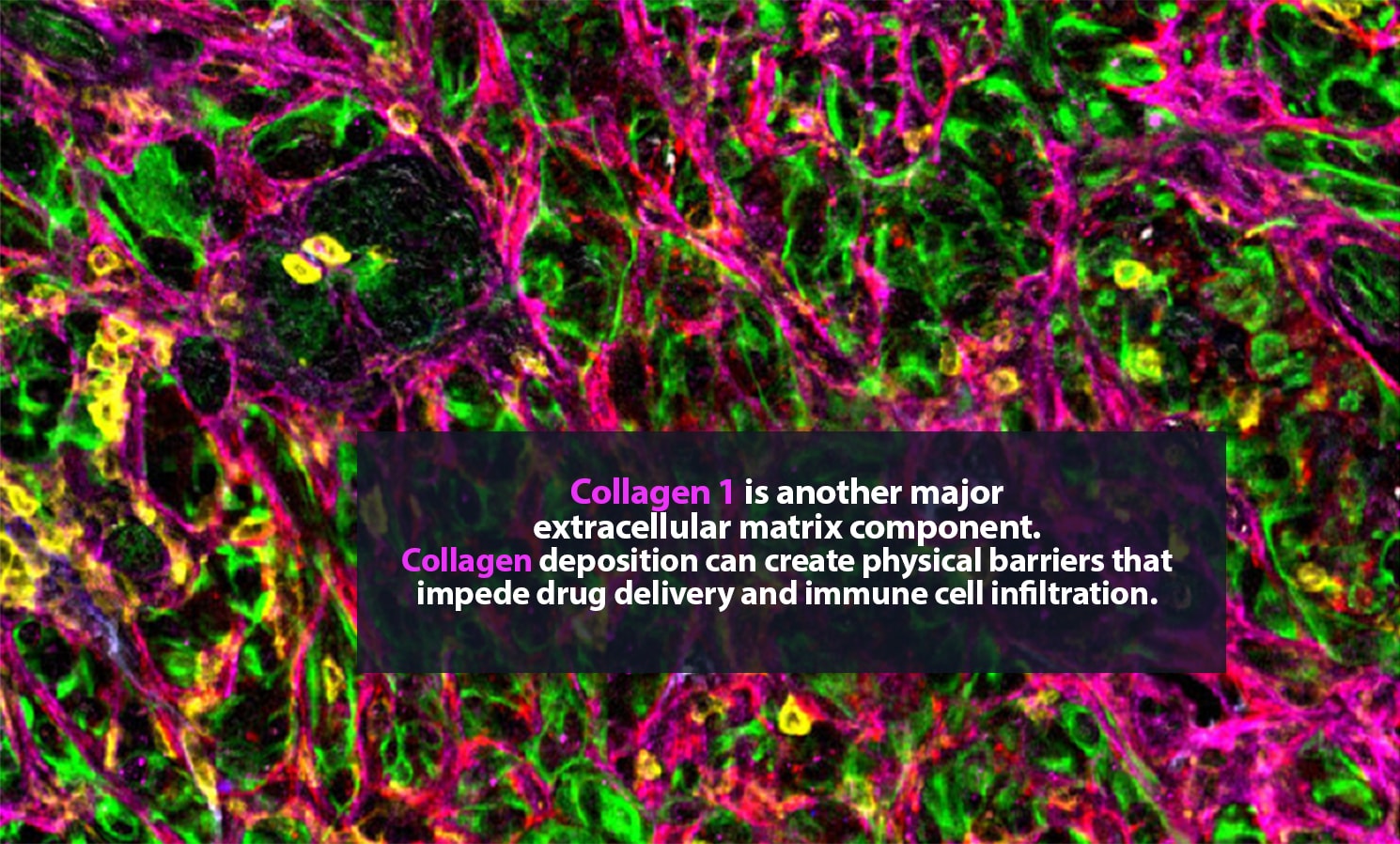 5 alt pink stroma 1490x898px