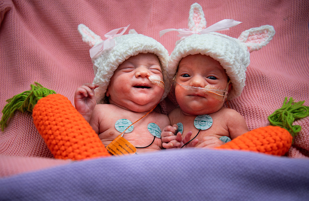 IL Bunnies