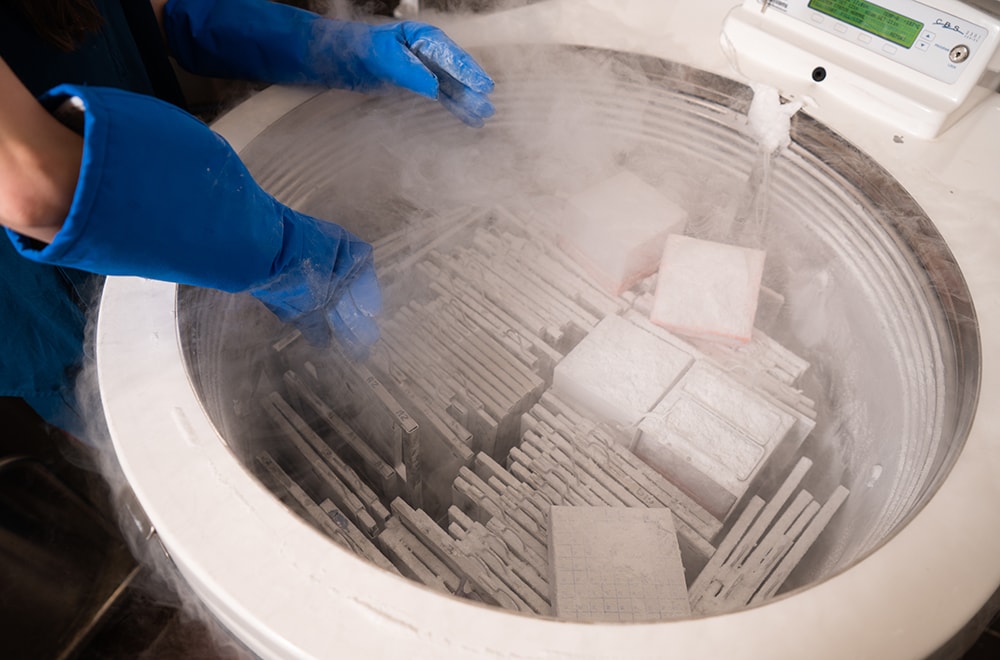 rep mckell cell therapy inside cells 1000x660px