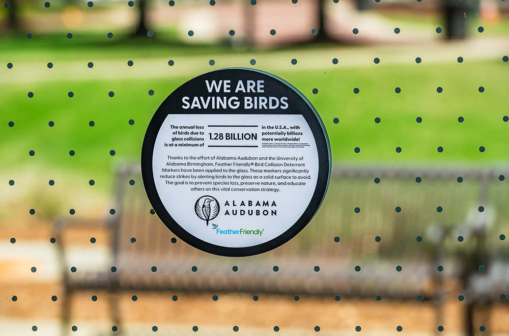 Closeup of sticker on Heritage Hall door, along with many small dots, that says We are saving Birds