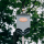 Bat Box   Widget