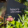 Gardens 1   Widget