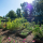 Gardens 2   Widget