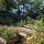 Gardens 4   Widget