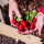 Gardens Radish   Widget