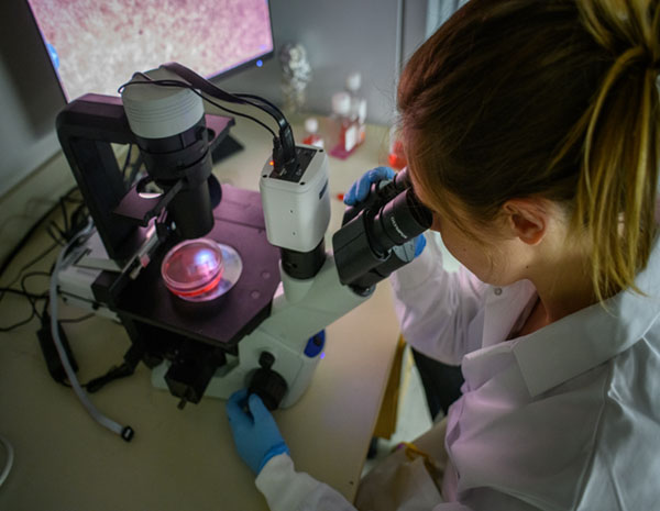 Procedures for Investigators